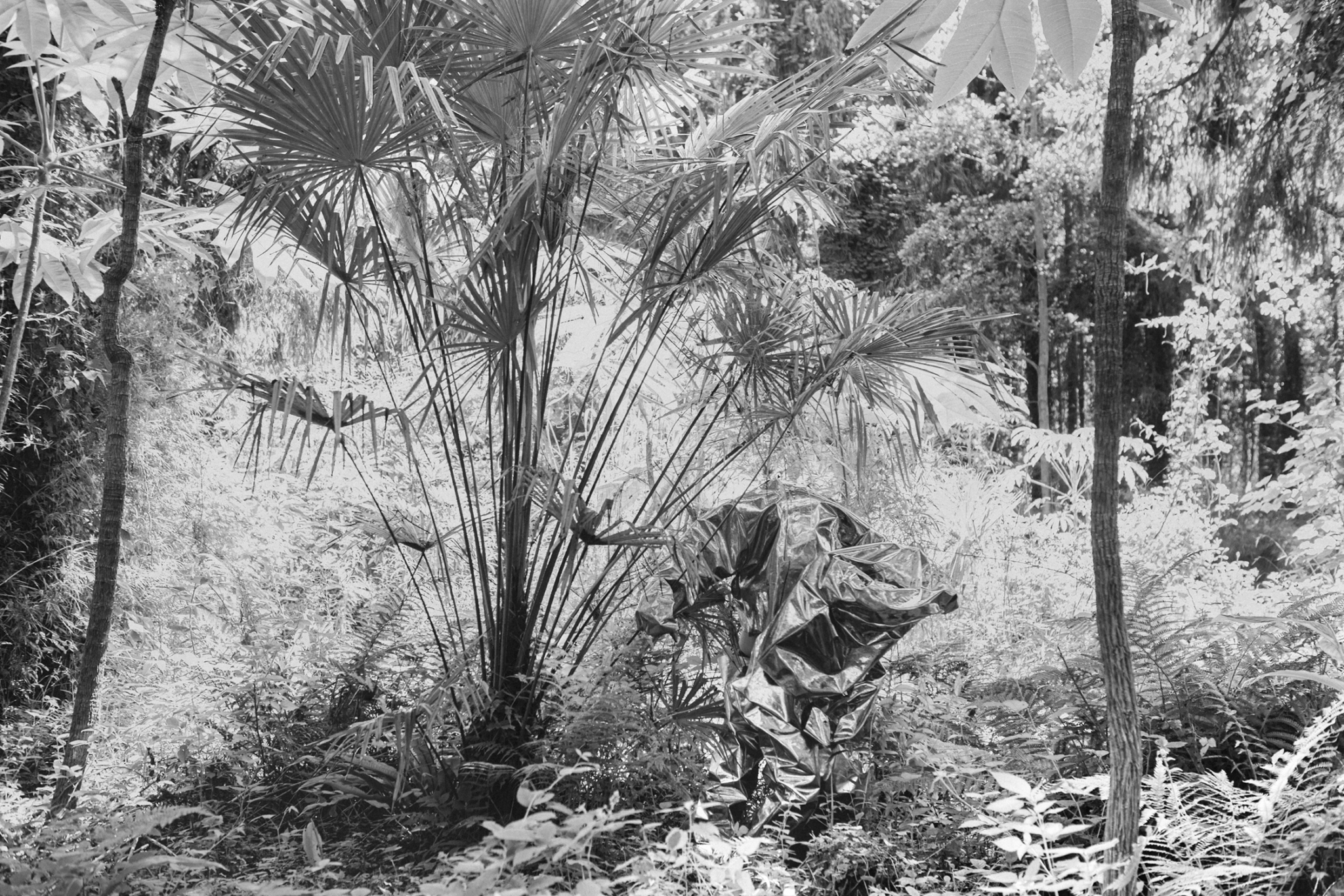 Troisième miNiature | Scolaire Danse