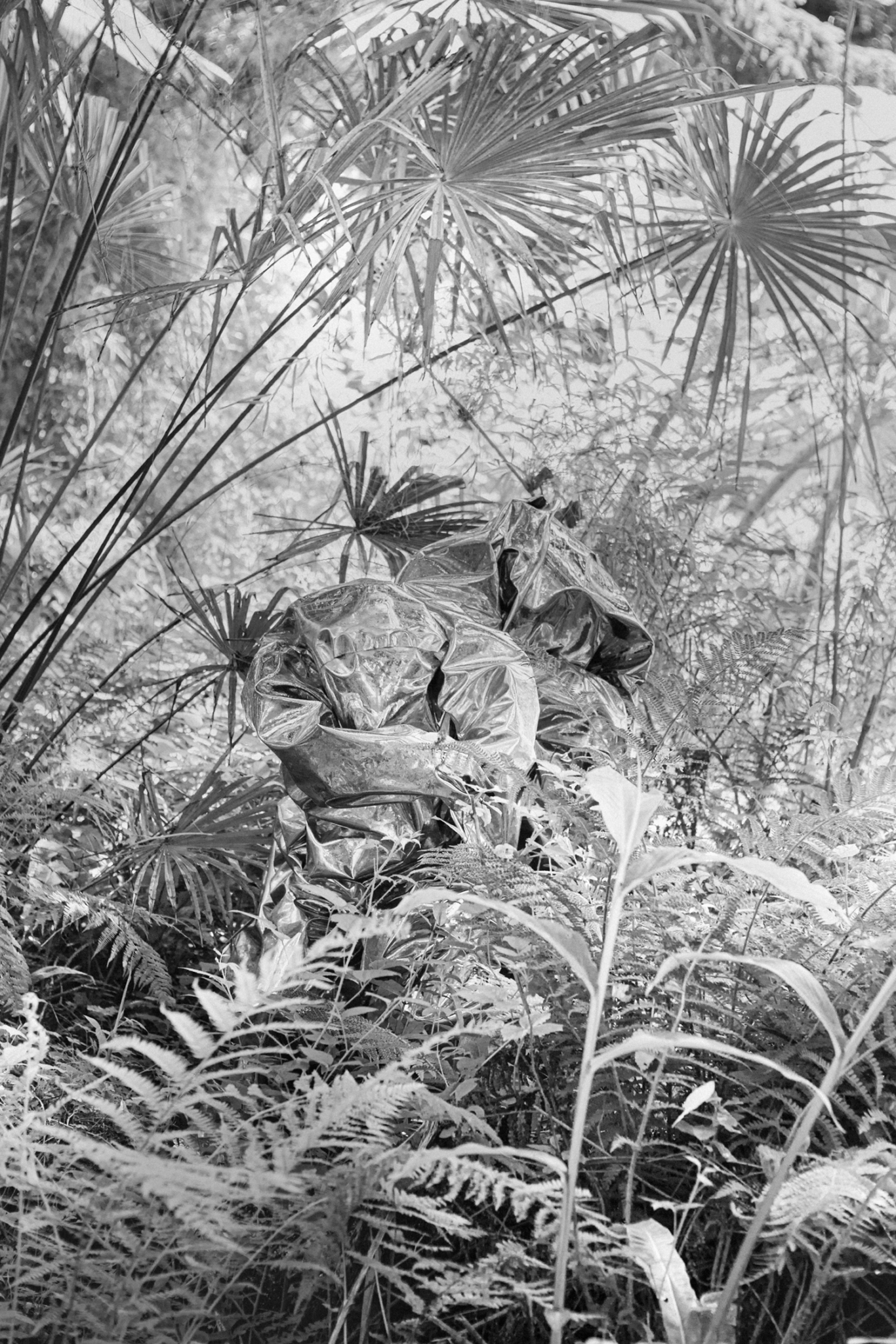 Troisième miNiature | Scolaire Danse