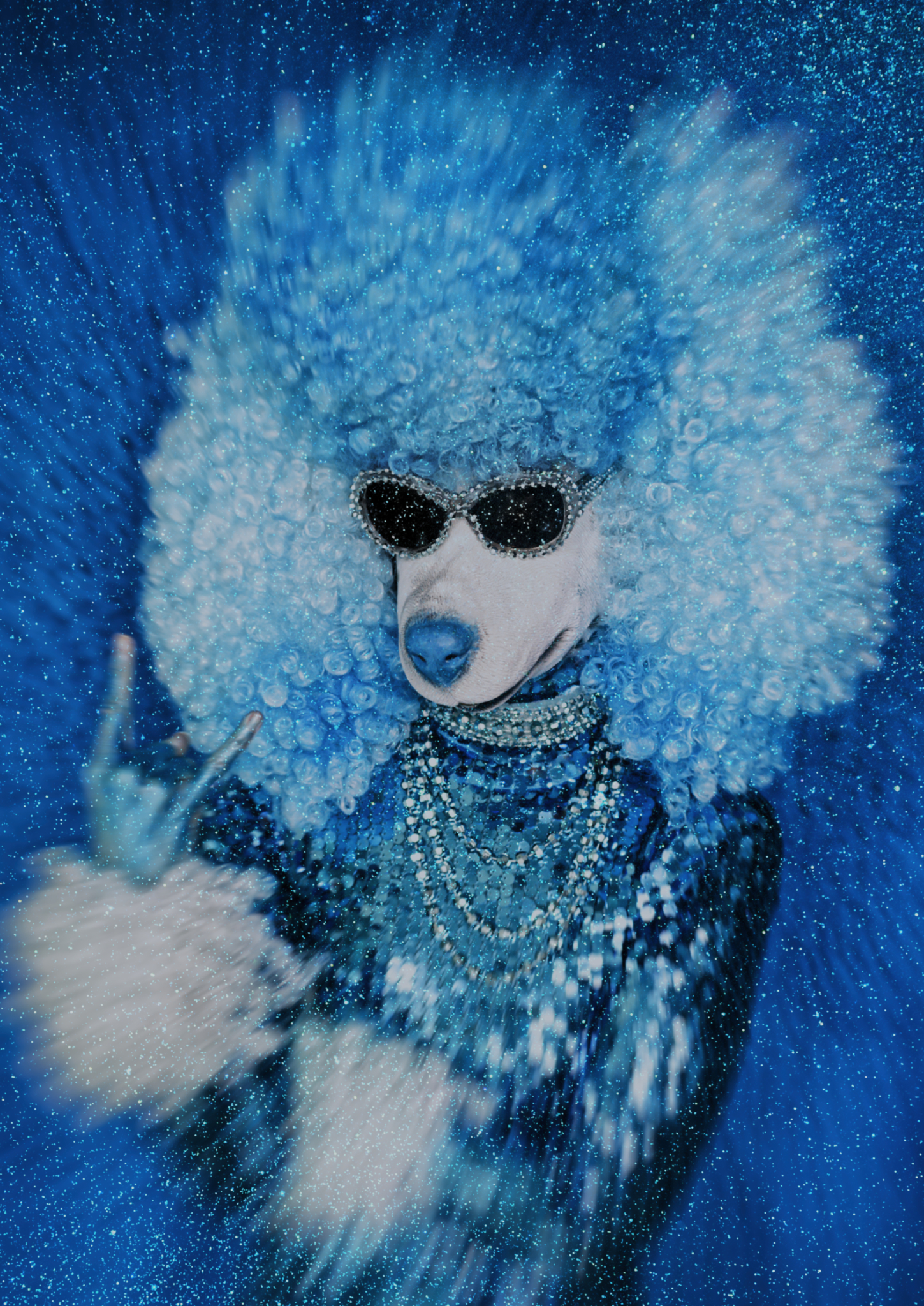 Glow ! | Associatif Théâtre