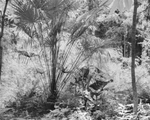 Troisième miNiature | Scolaire Danse