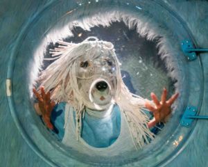 Glow ! | Associatif Théâtre